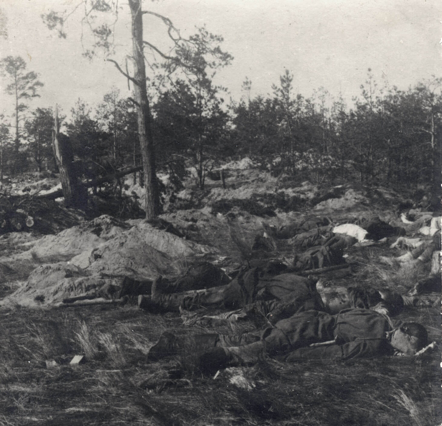 Czarno-białe zdjęcie ukazujące pobojowisko w lesie. W scenerii zwalonych drzew i małych, nieregularnych kop piasku, na trawie, na pierwszym planie widać kilka leżących zwłok w mundurach. 

